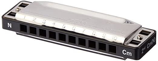 Lee Oskar Mouthorgan 1910NC Harmonica Natural Minor C