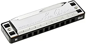 Lee Oskar Mouthorgan 1910NG Harmonica Natural Minor G