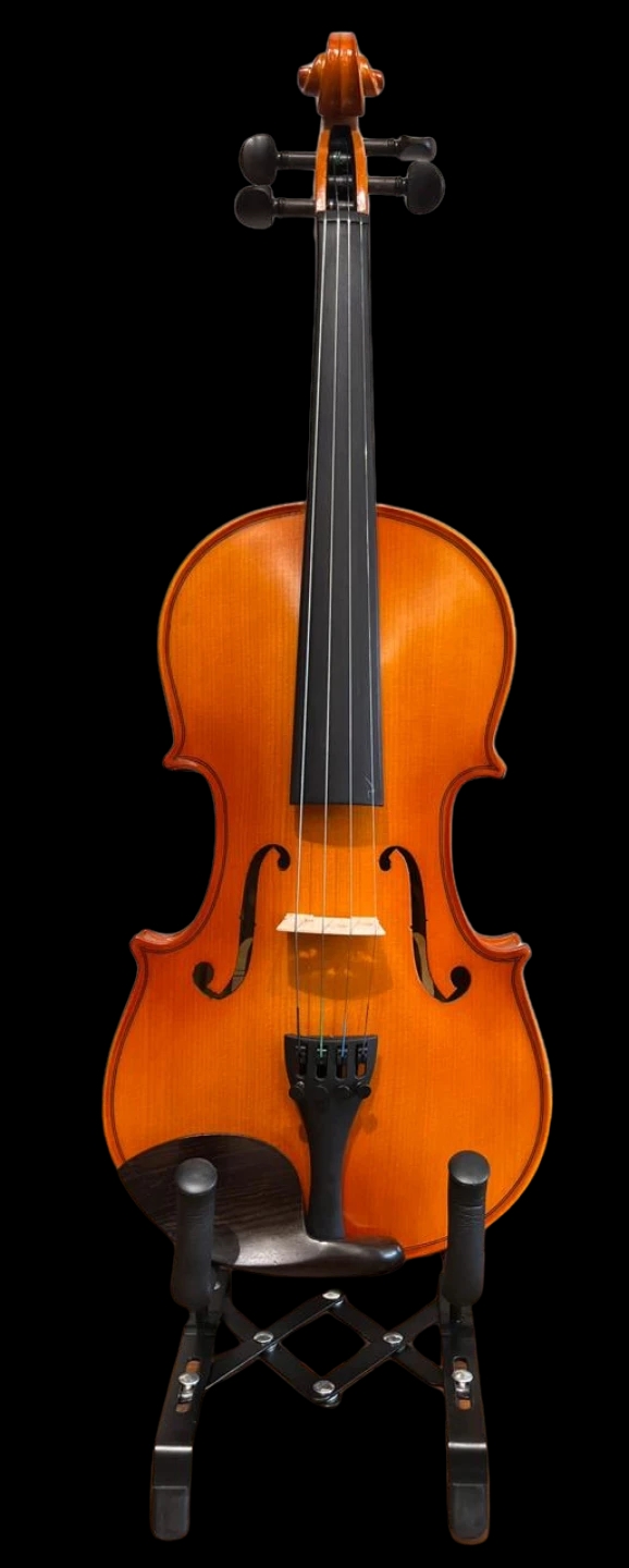 Maya SV07 4/4 Violin