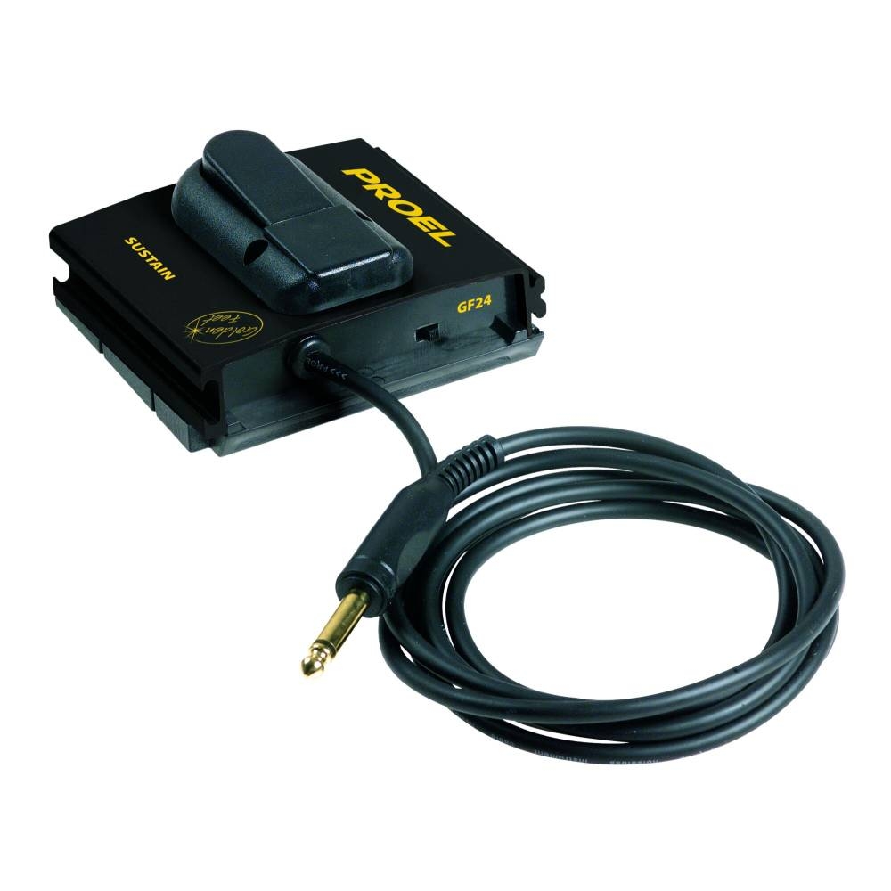 Proel GF24 Golden Feet Series SUSTAIN Control Pedal