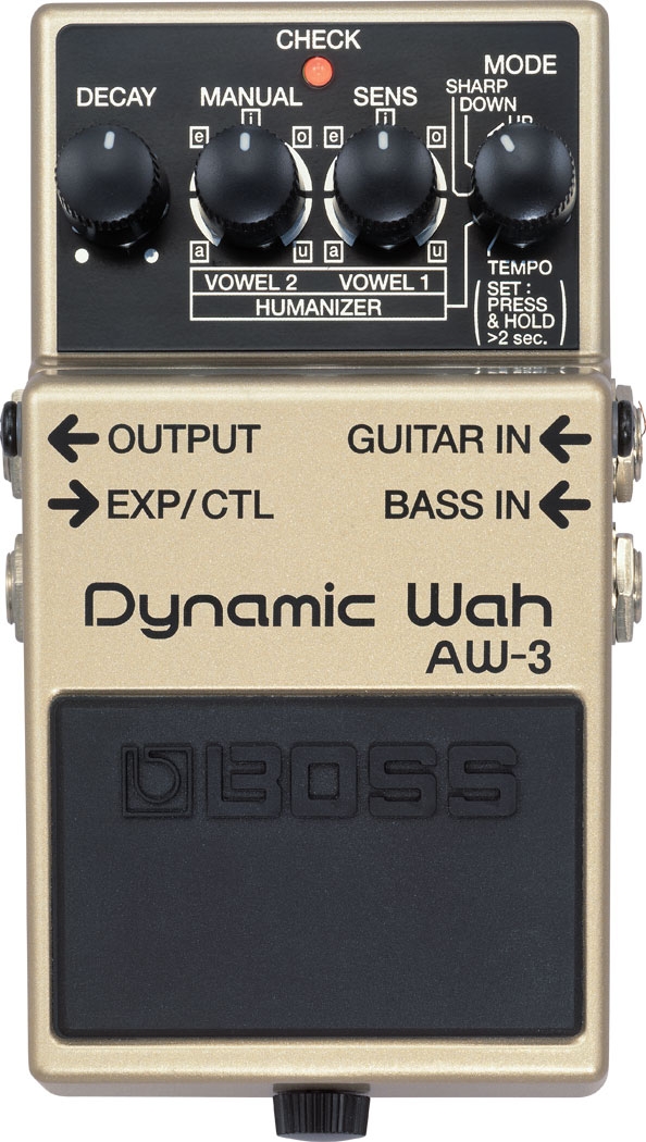 Roland AW-3 Dynamic Wah Pedal