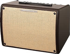 Ibanez T30II-U Acoustic Guitar Amplifier Troubadour Series 30 Watts