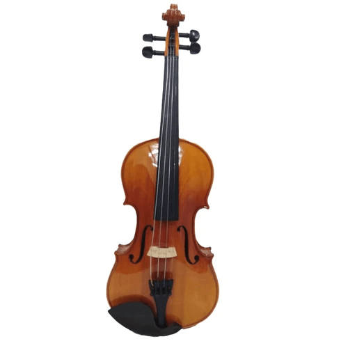 Pluto VIOLIN 4/4 4/4 Size Violin With Bag