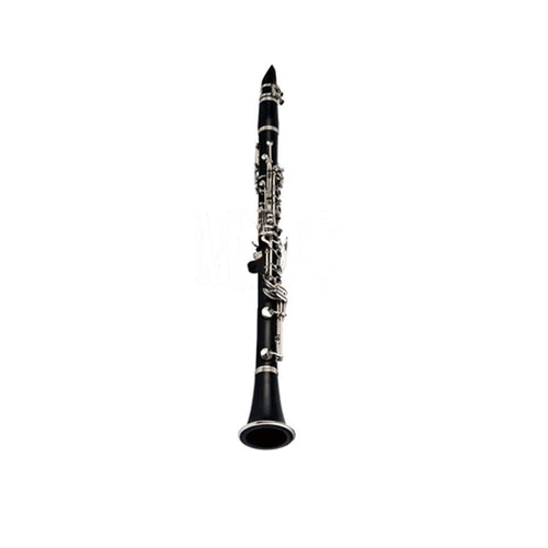 Pluto JYCL1301 Matt Finish Clarinet With Case