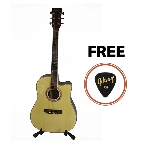 Chateau F121CE 41G Acoustic Guitar - Natural