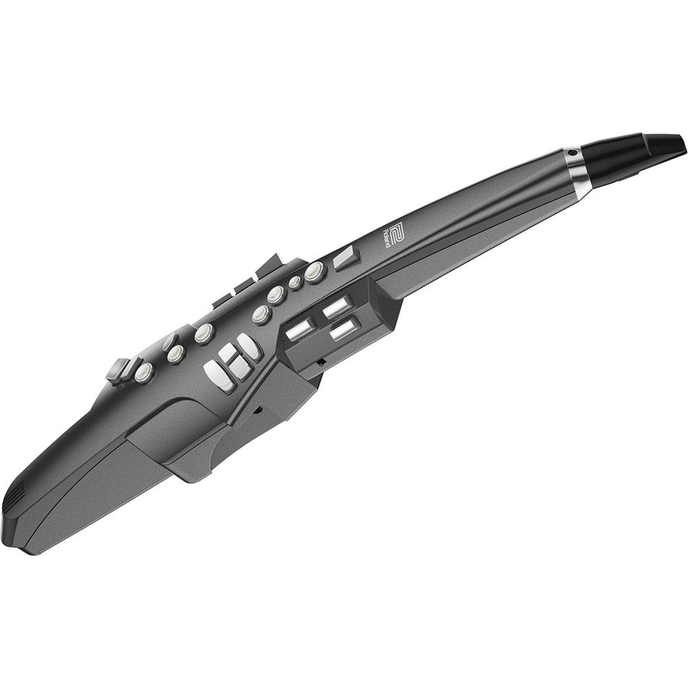 Roland AE-10G Aerophone Digital Wind Instrument