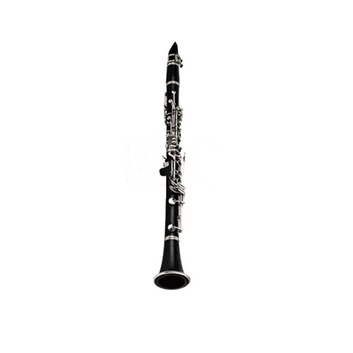 Pluto JYCL1301 Matt Finish Clarinet With Case